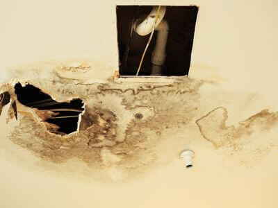 Professional waterproof flooring in Dresden, OH